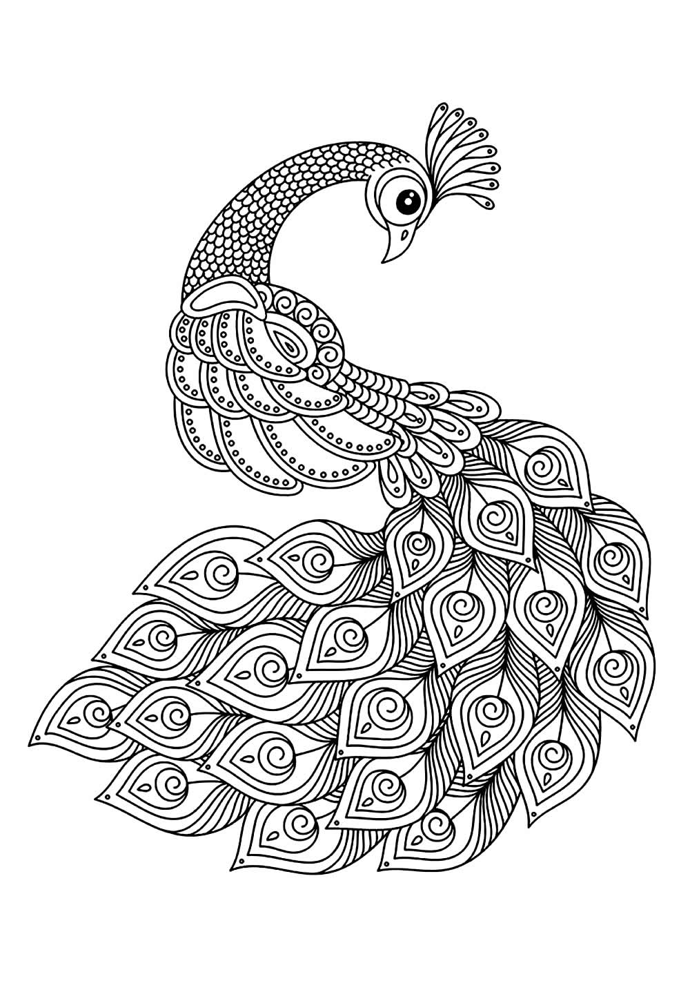 Desenhos de Pavão para imprimir