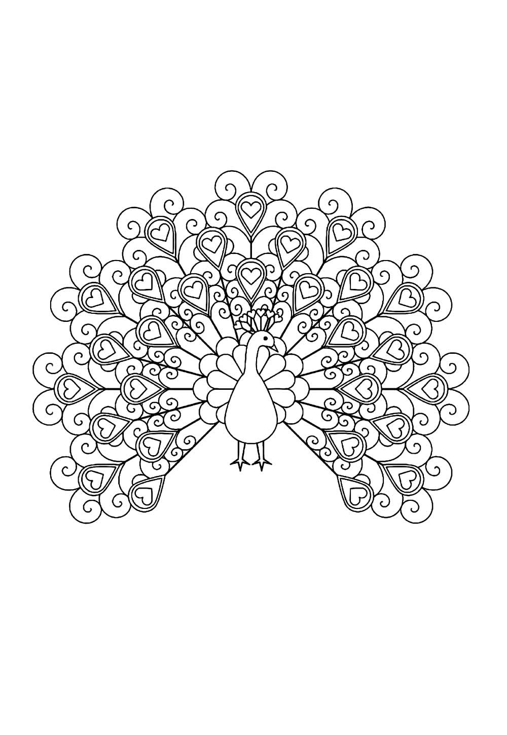 Desenho de Pavão para pintar