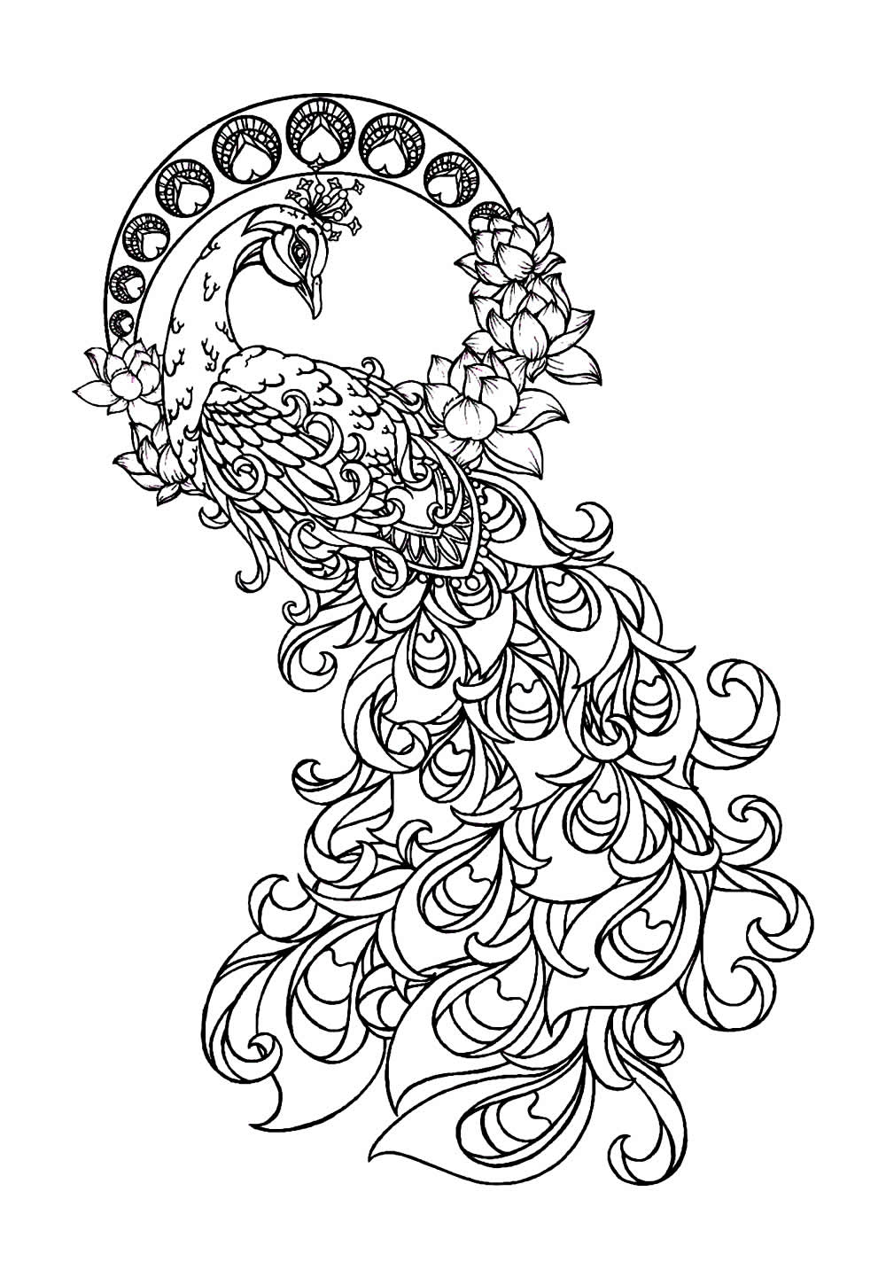 Desenho de Pavão para colorir