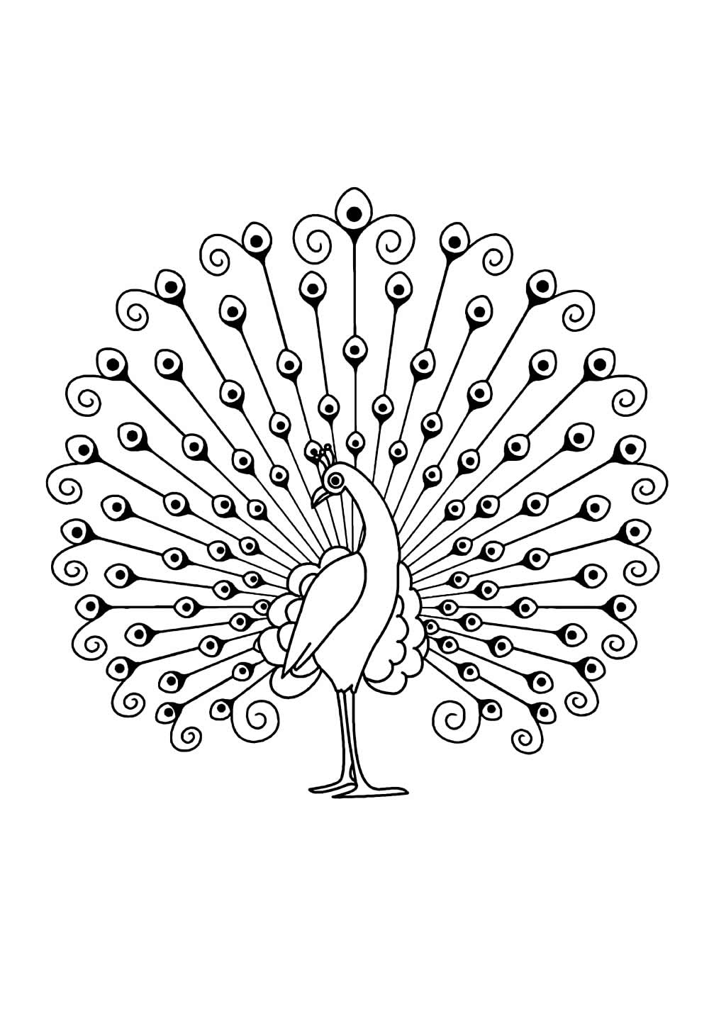 Desenho de Pavão para imprimir