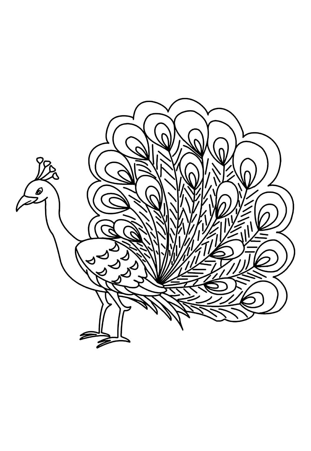 Desenho de Pavão