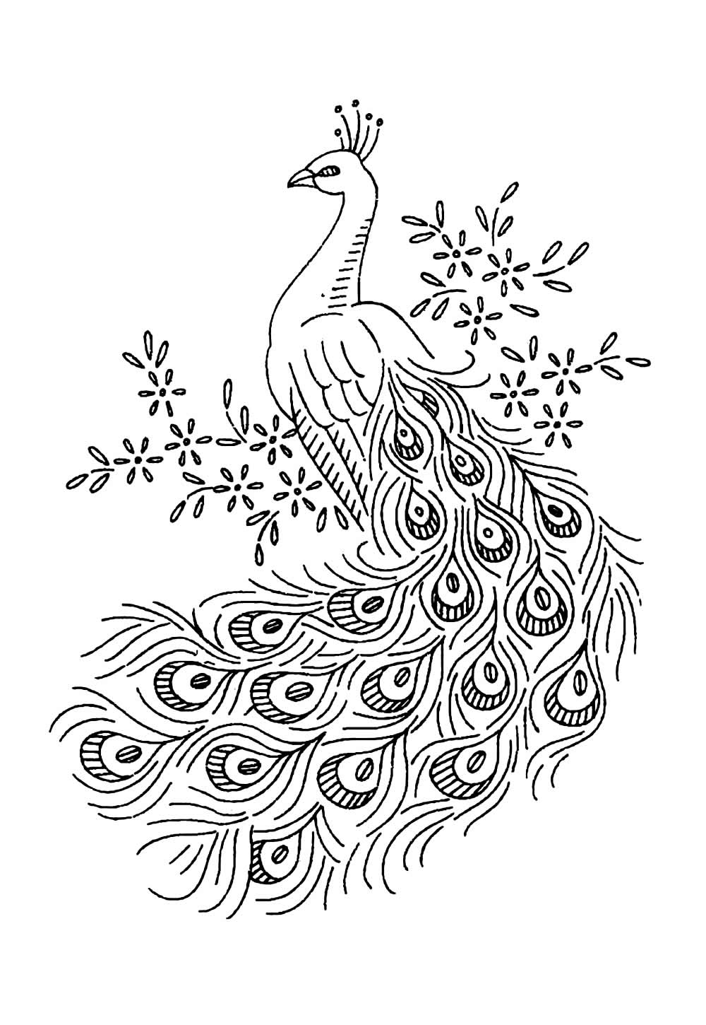 Desenhos de Pavão para pintar