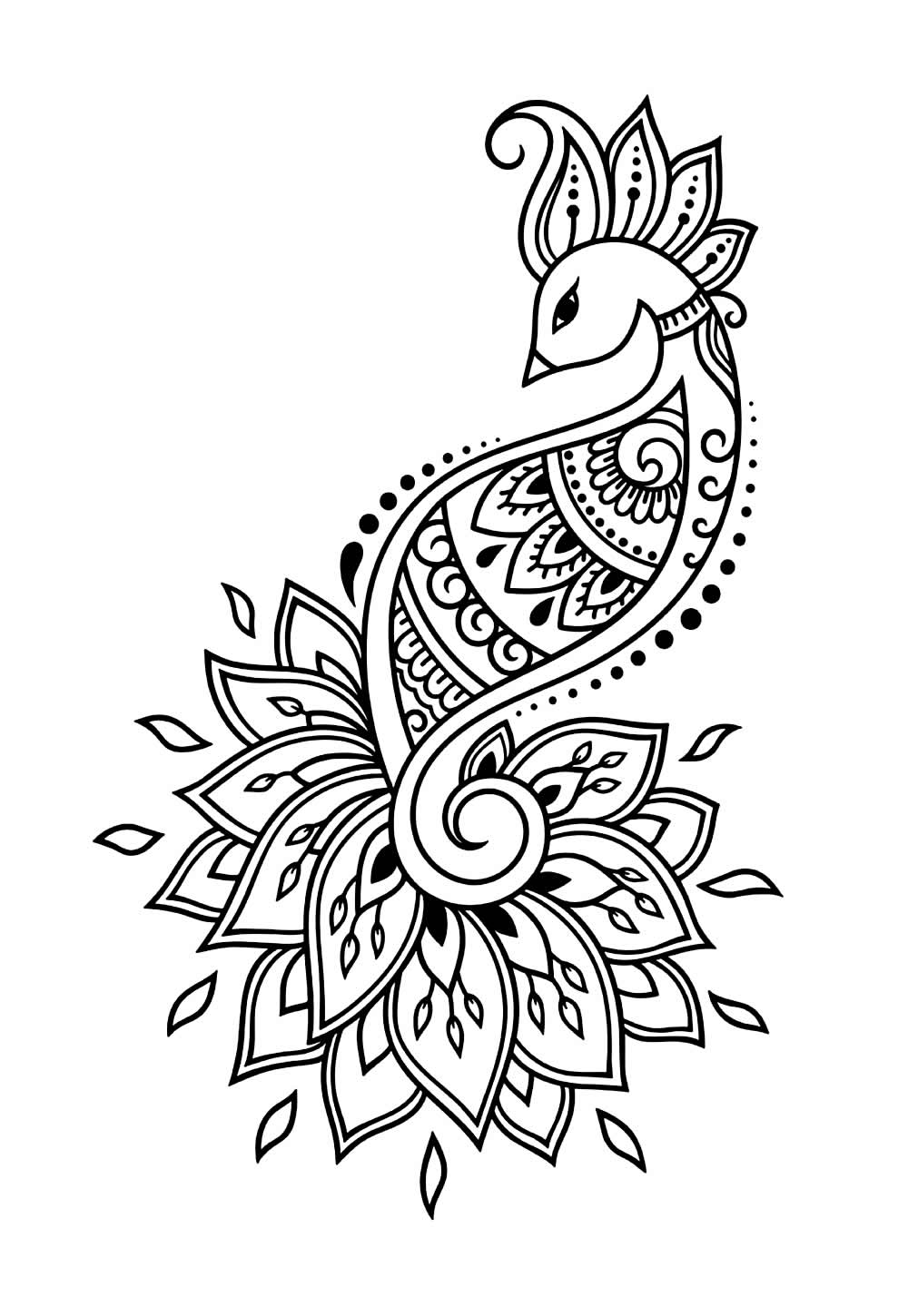 Desenhos de Pavão para colorir