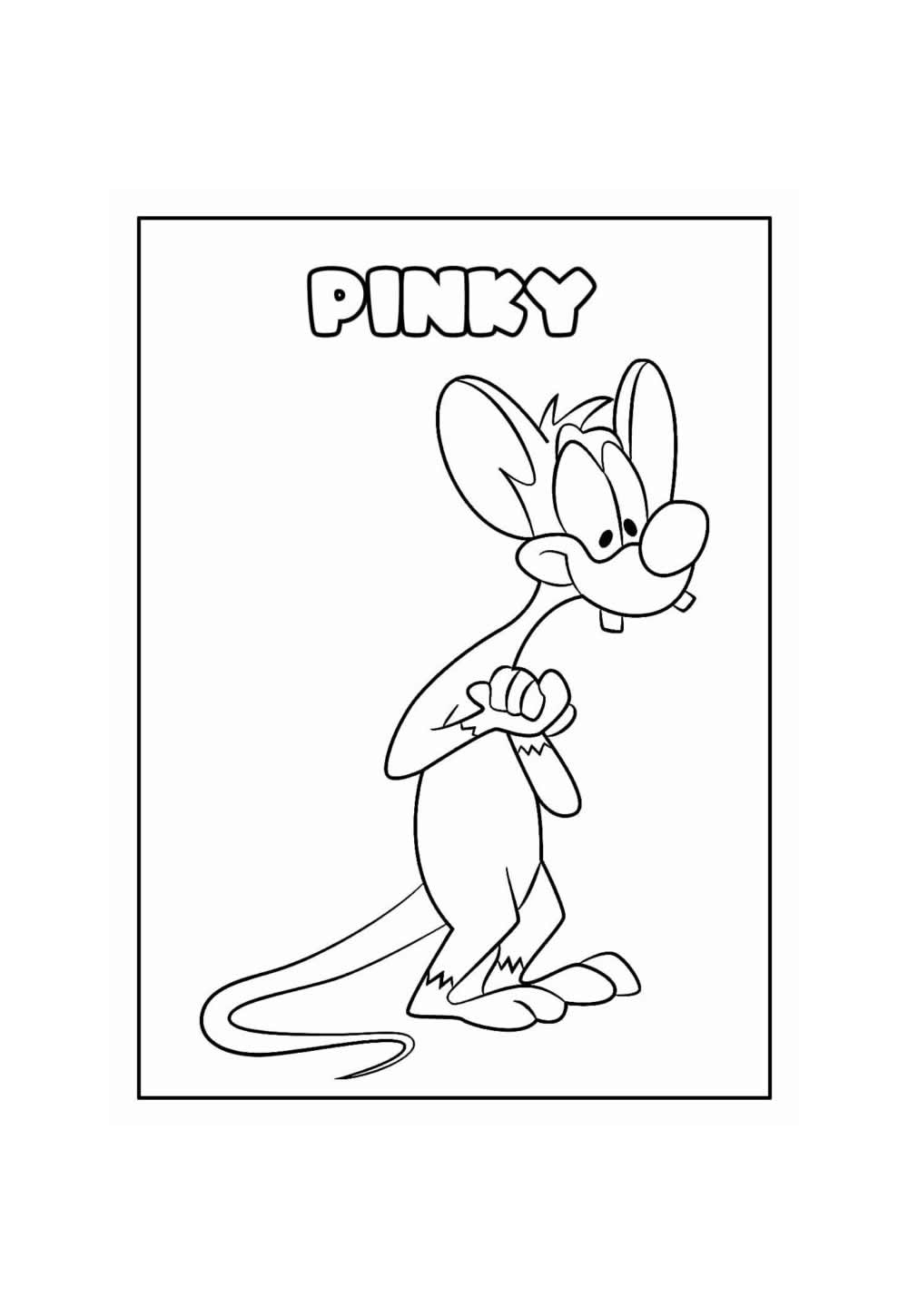 Desenho de Pinky para colorir