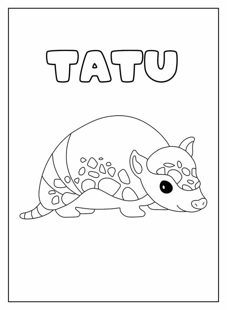 Desenho Educativo de Tatu para colorir