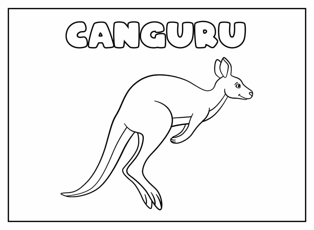 Desenho Educativo de Canguru