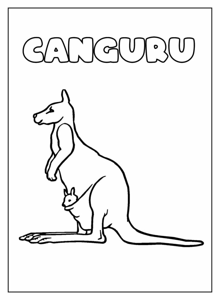 Desenho Educativo de Canguru para colorir