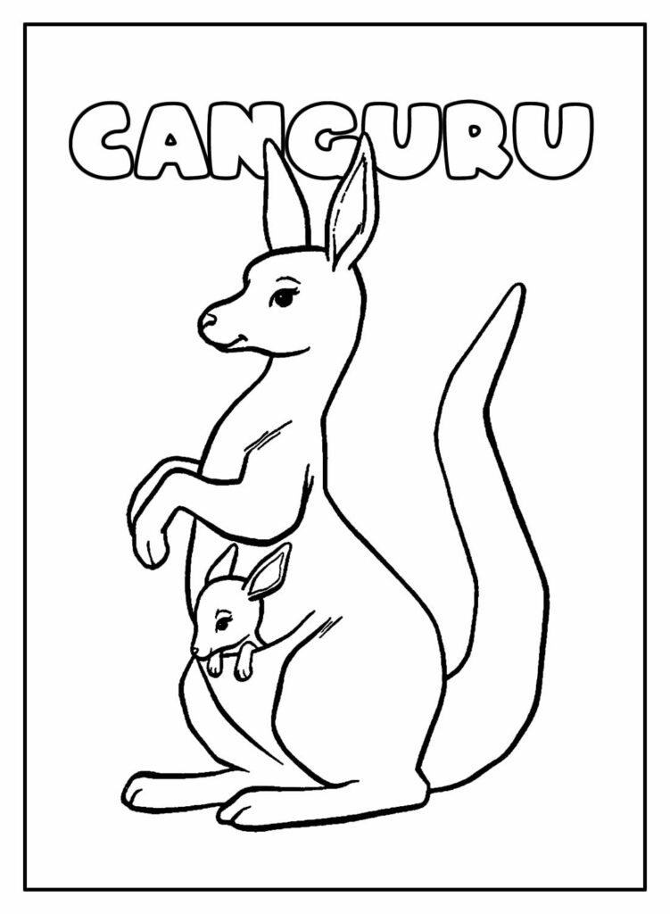 Desenho Educativo para Colorir de Canguru