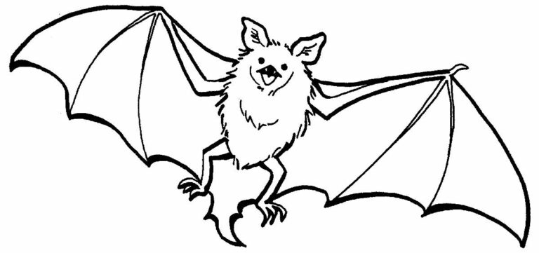 Desenhos de Morcego para colorir - Bora Colorir