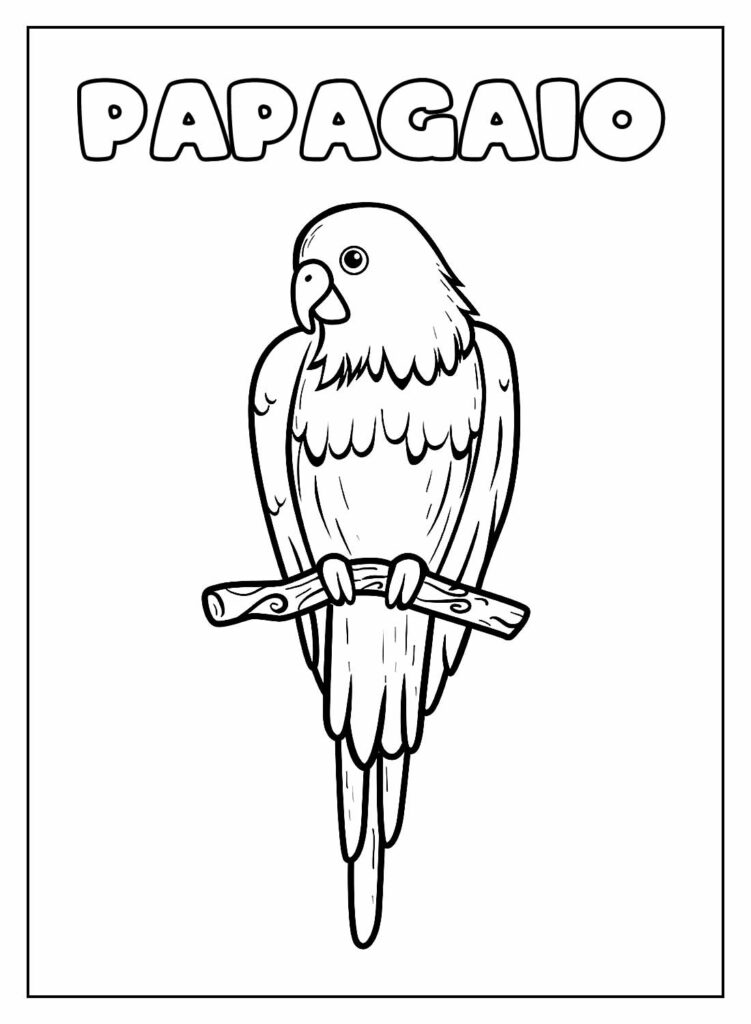 Desenho Educativo de Papagaio para pintar