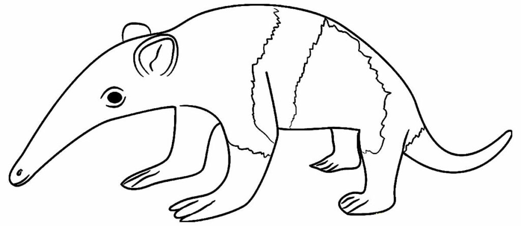 Desenho de Tamanduá para colorir