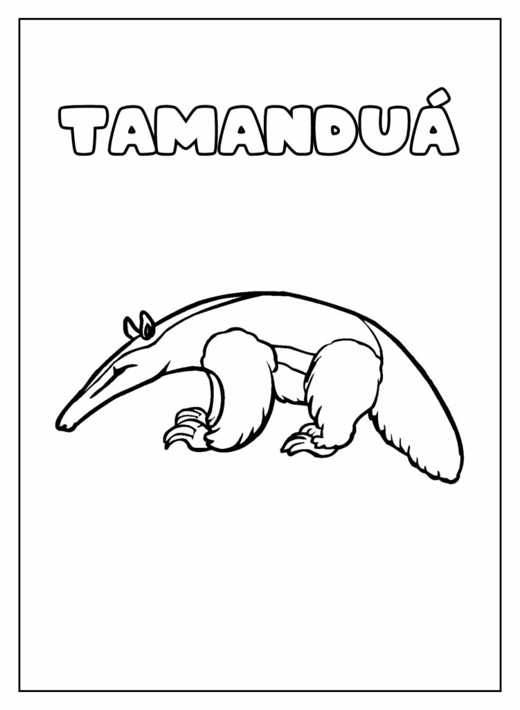 Desenho Educativo de Tamanduá para colorir