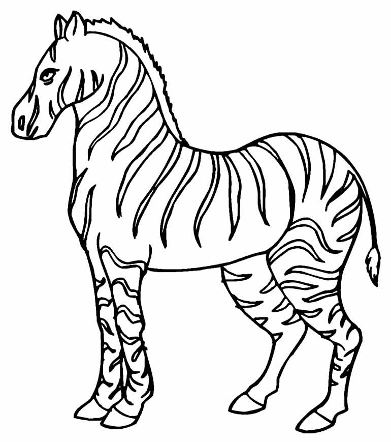 Desenho de Zebra para pintar