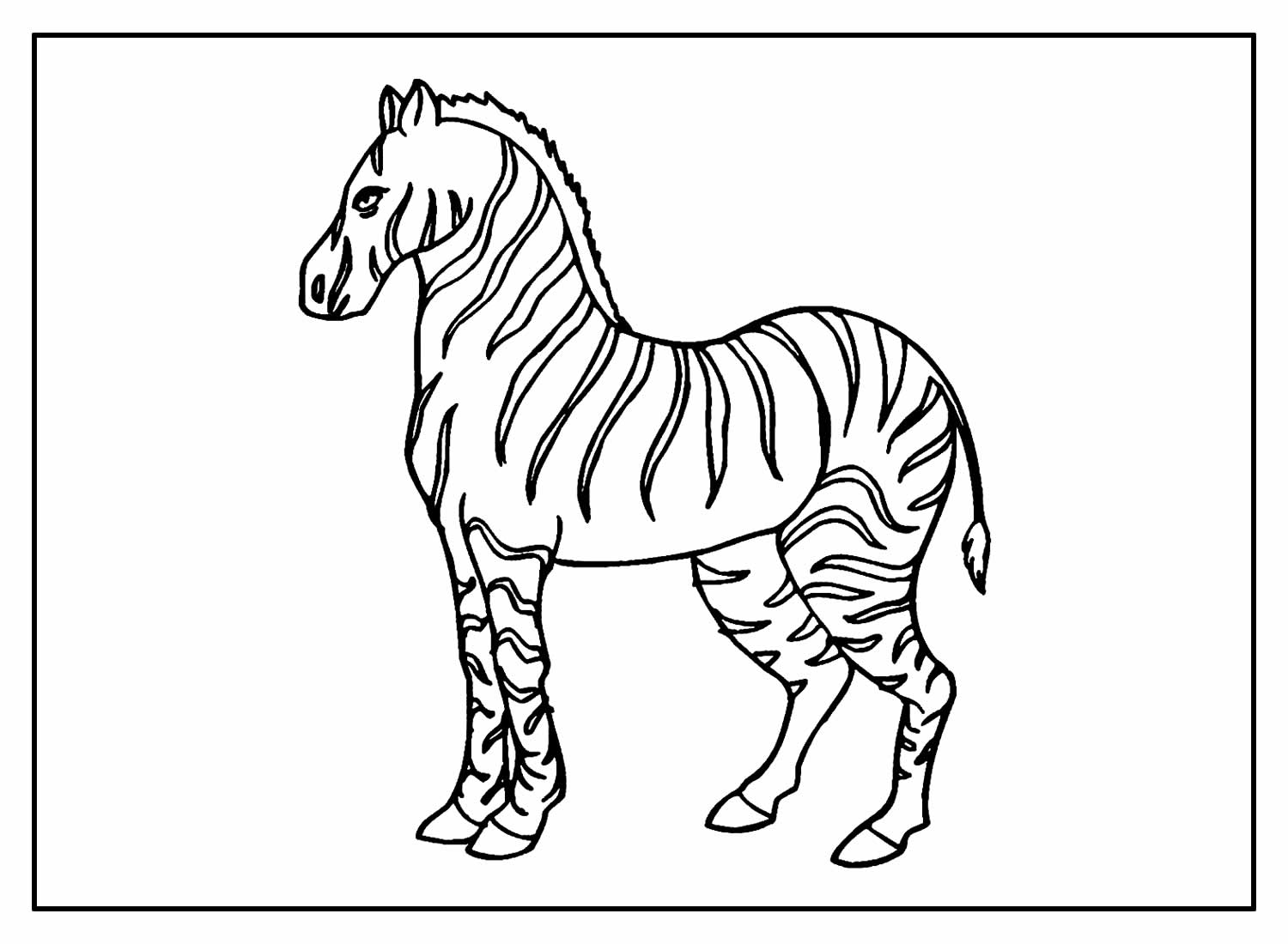 Desenhos De Zebra Para Colorir Bora Colorir