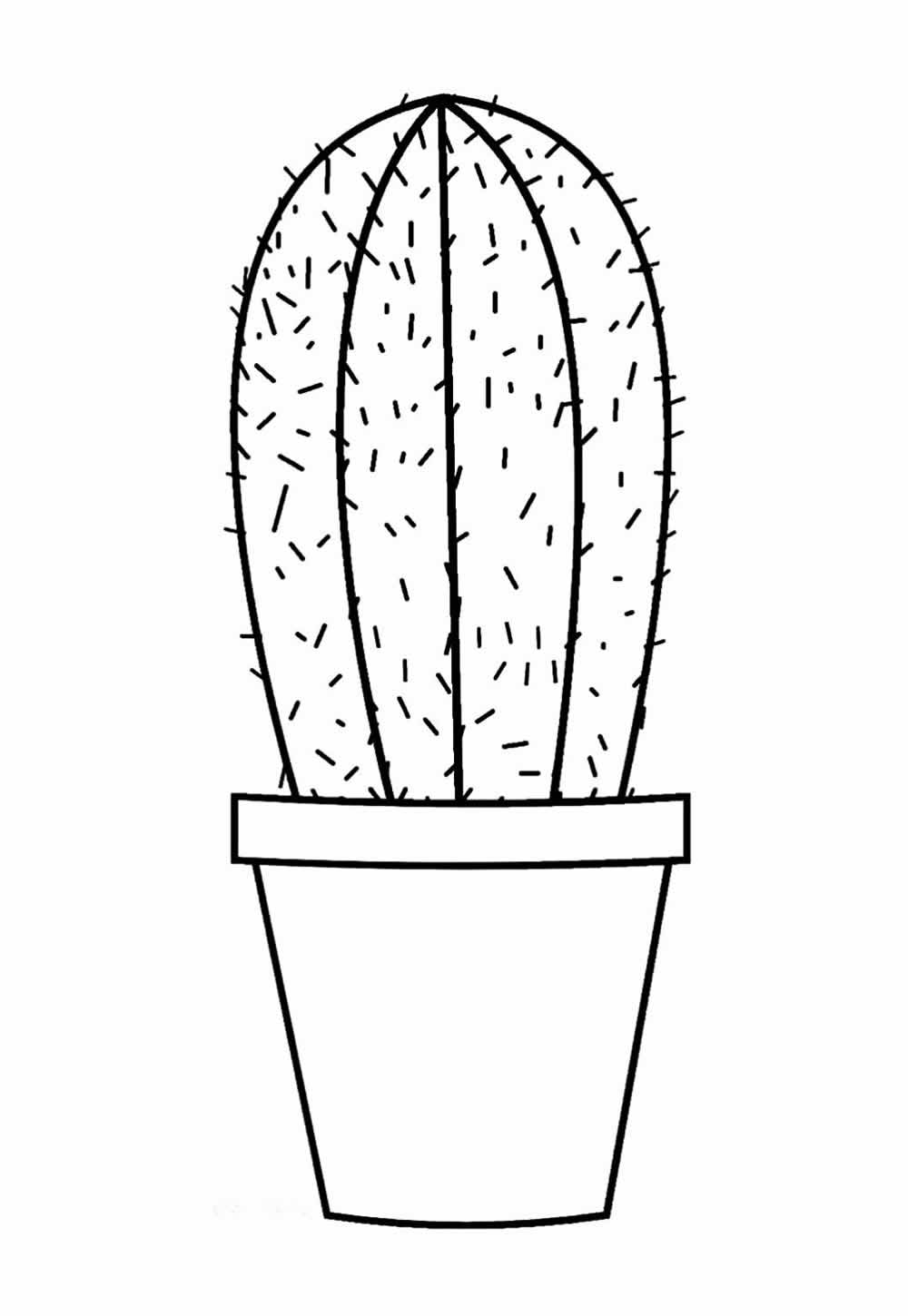 Desenho de Cacto para colorir