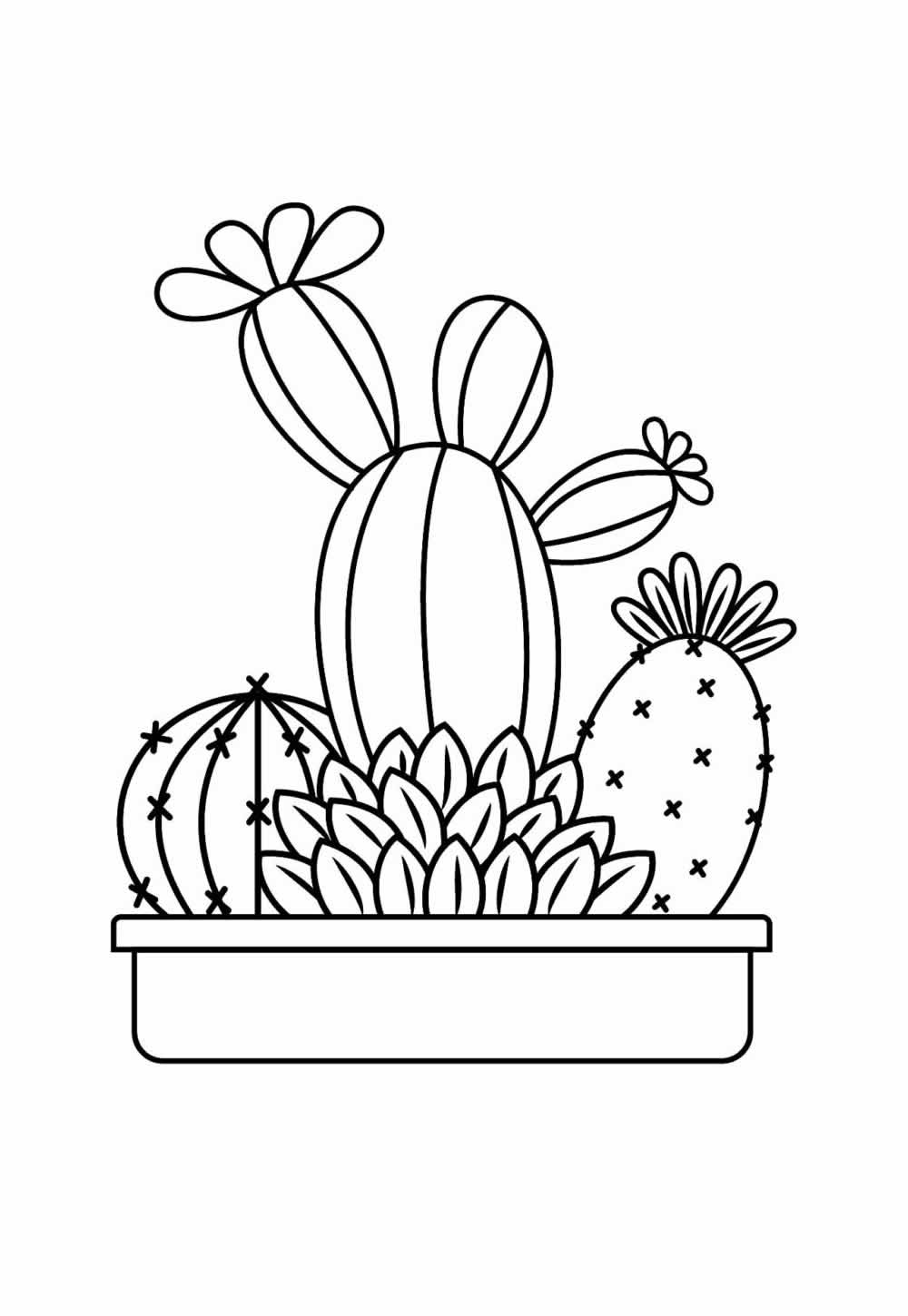 Cactos para colorir