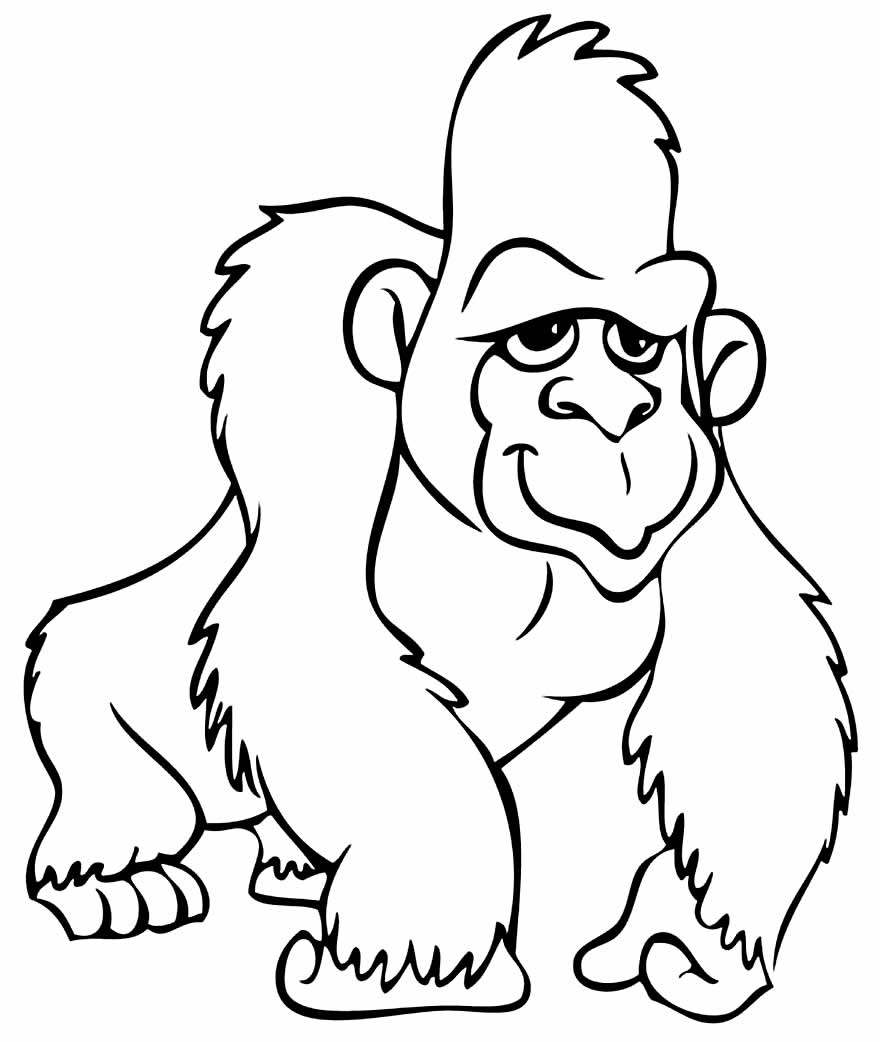 Desenho de Gorila para pintar
