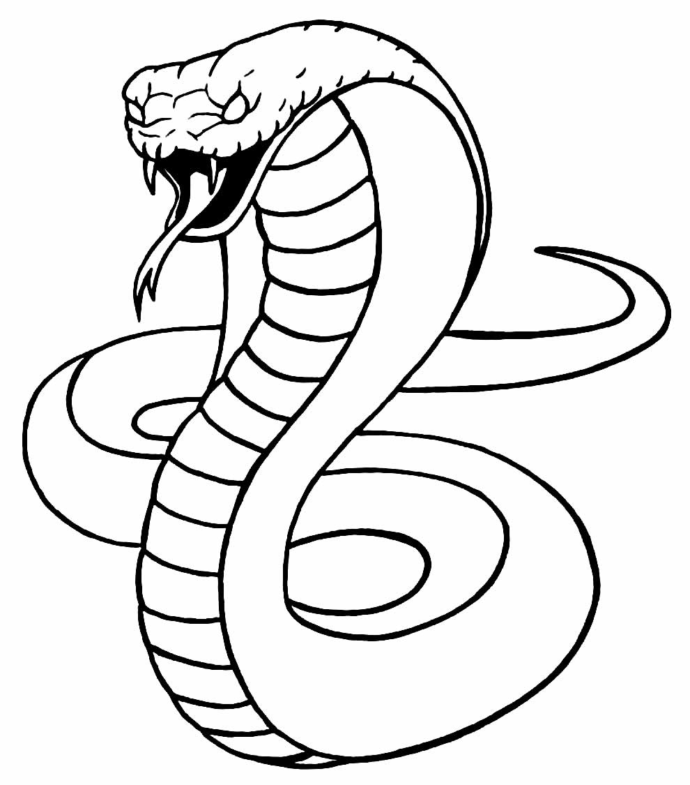 Desenho de Serpente pendurada numa árvore pintado e colorido por