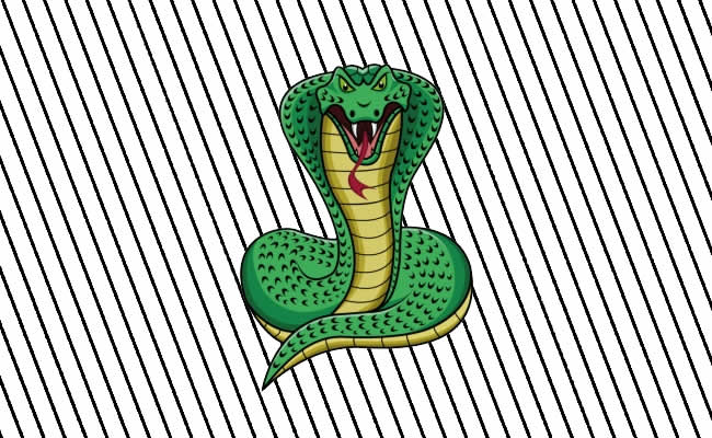 Desenhos da Cobra Naja para colorir - Bora Colorir