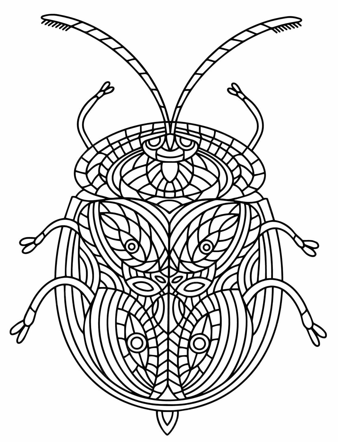 Desenho para pintar e colorir - Besouro