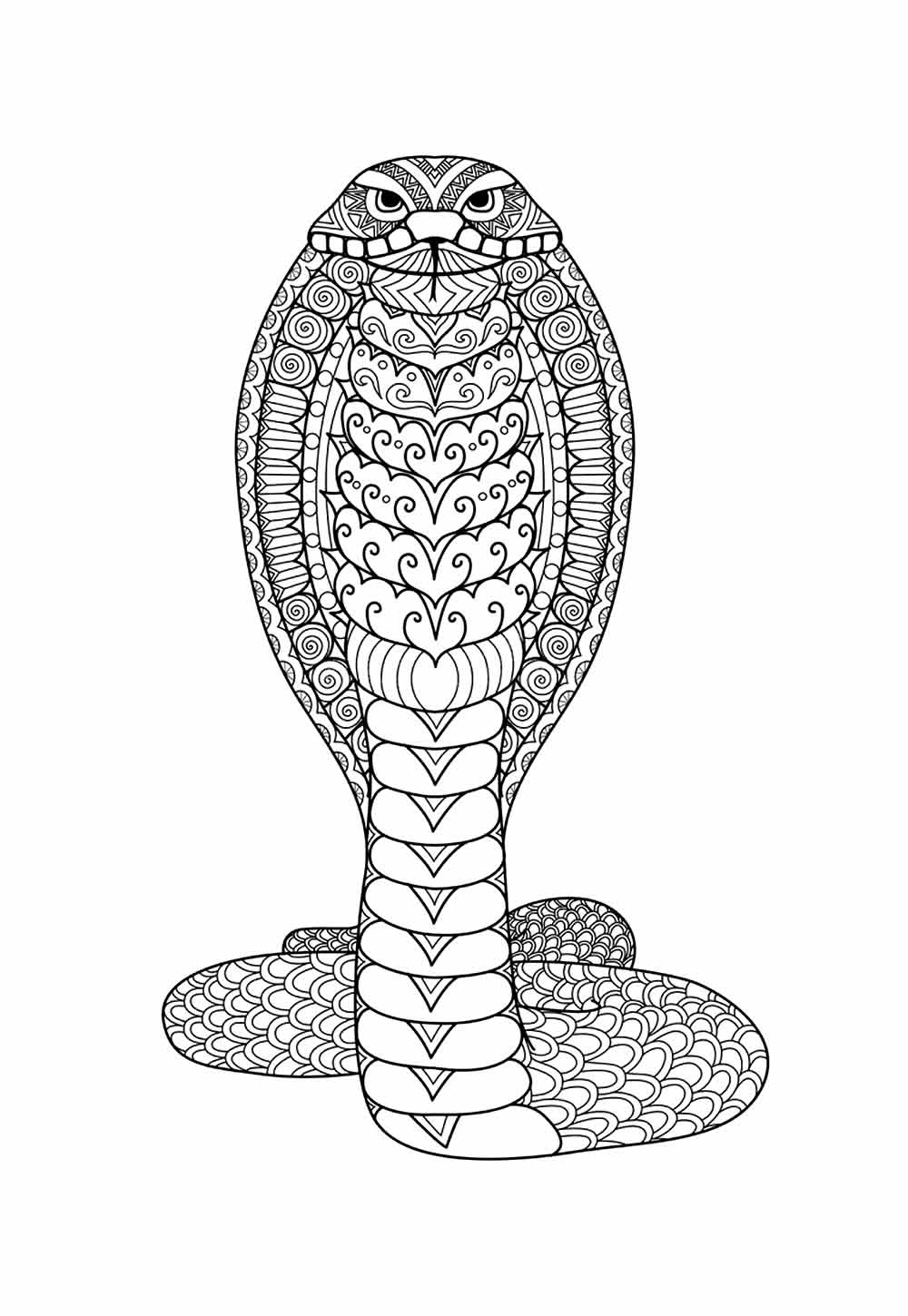 Desenho da Cobra Naja para colorir