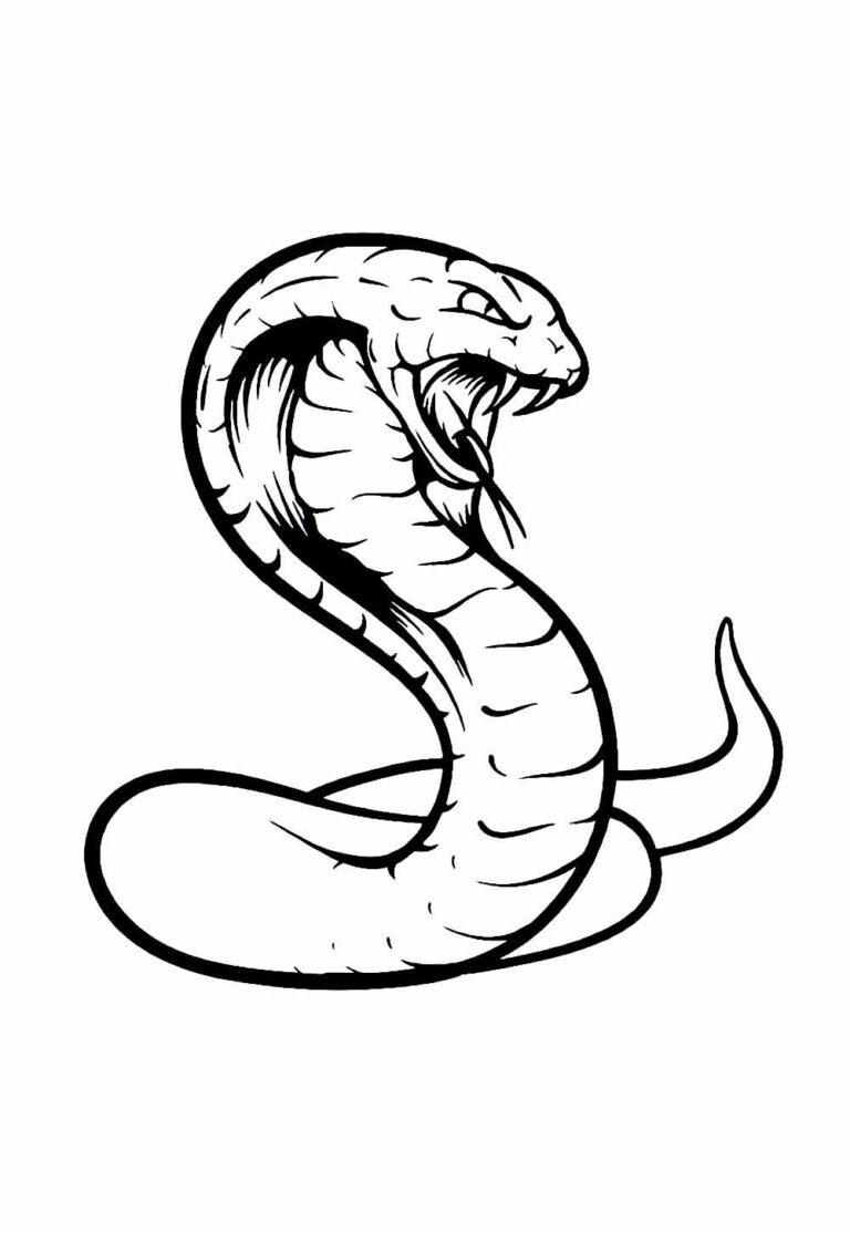 Desenhos da Cobra Naja para colorir - Bora Colorir
