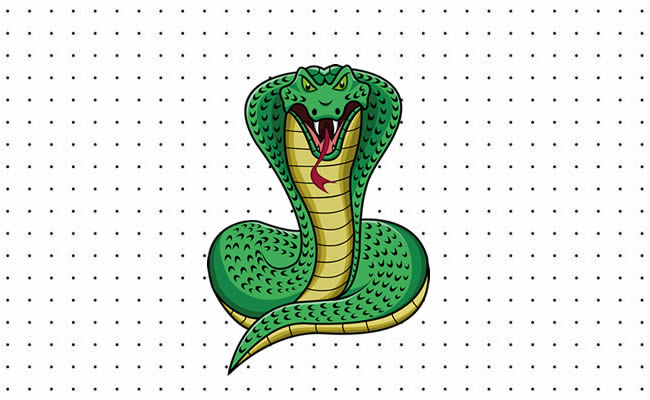 Desenhos de Cobra Naja para colorir