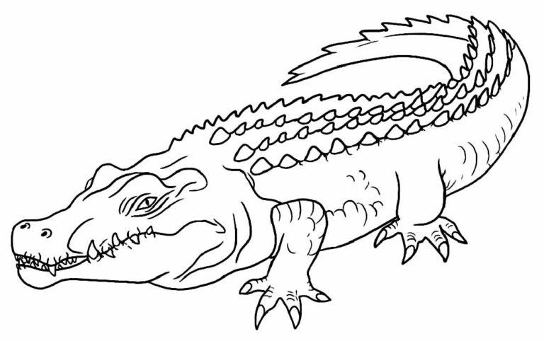 Desenhos de Crocodilo para colorir - Bora Colorir
