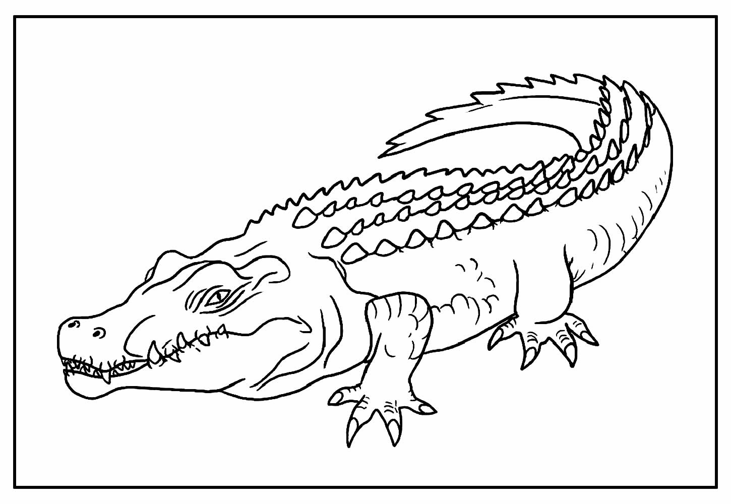 Desenho para pintar de Crocodilo