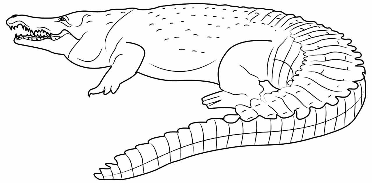 Crocodilo para pintar