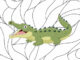 Desenhos de Crocodilo para colorir