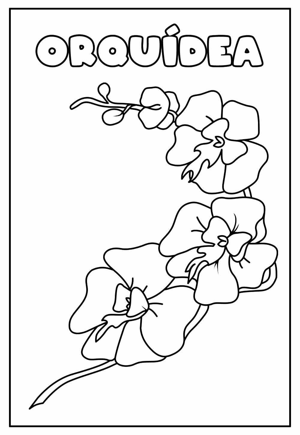 Desenho Educativo de Orquídea para pintar