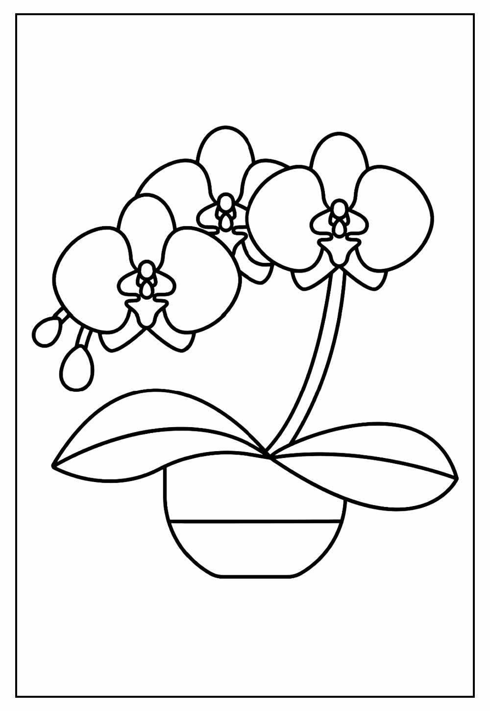 Desenho de Orquídeas para pintar