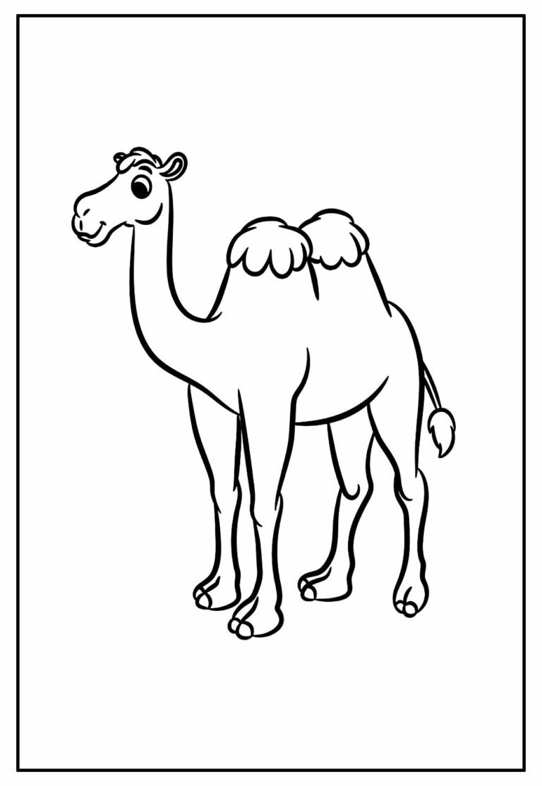 Desenhos de Camelo para colorir - Bora Colorir