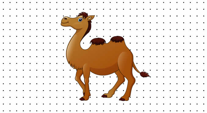 Desenhos de Camelo para pintar