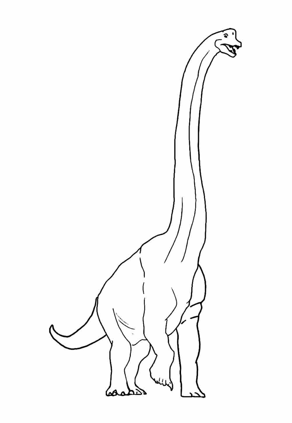 Desenhos Dinossauro Pintar