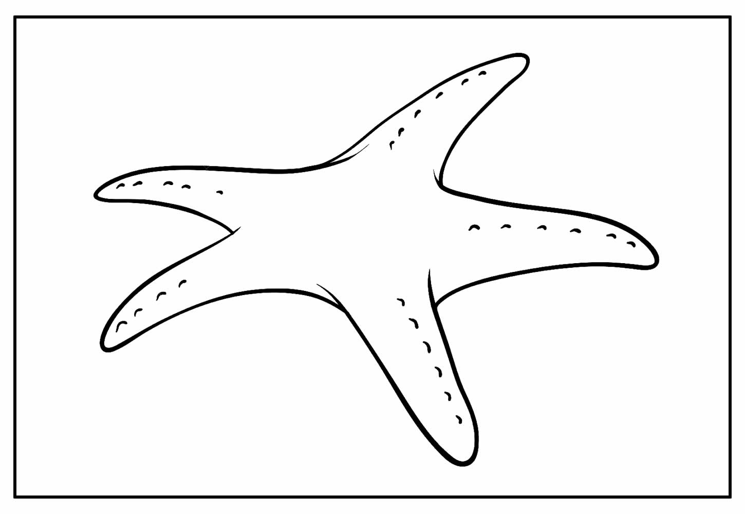 Desenhos De Estrela Do Mar Para Colorir Bora Colorir