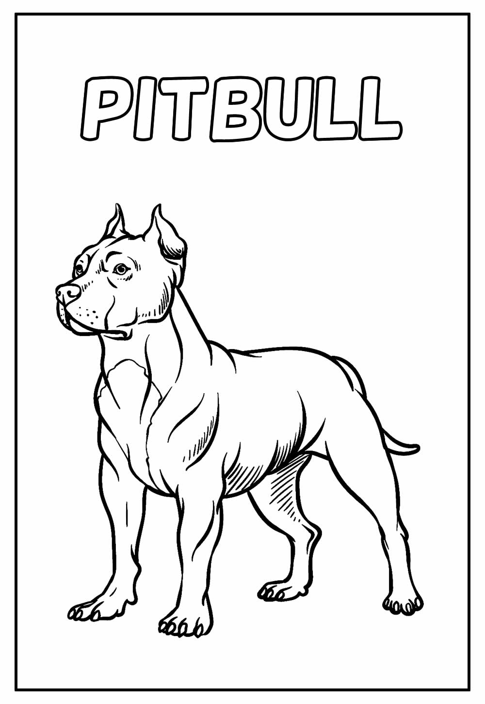 Desenho Educativo de Pitbull para imprimir e colorir