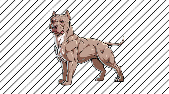 Desenhos de Pitbull para imprimir e colorir