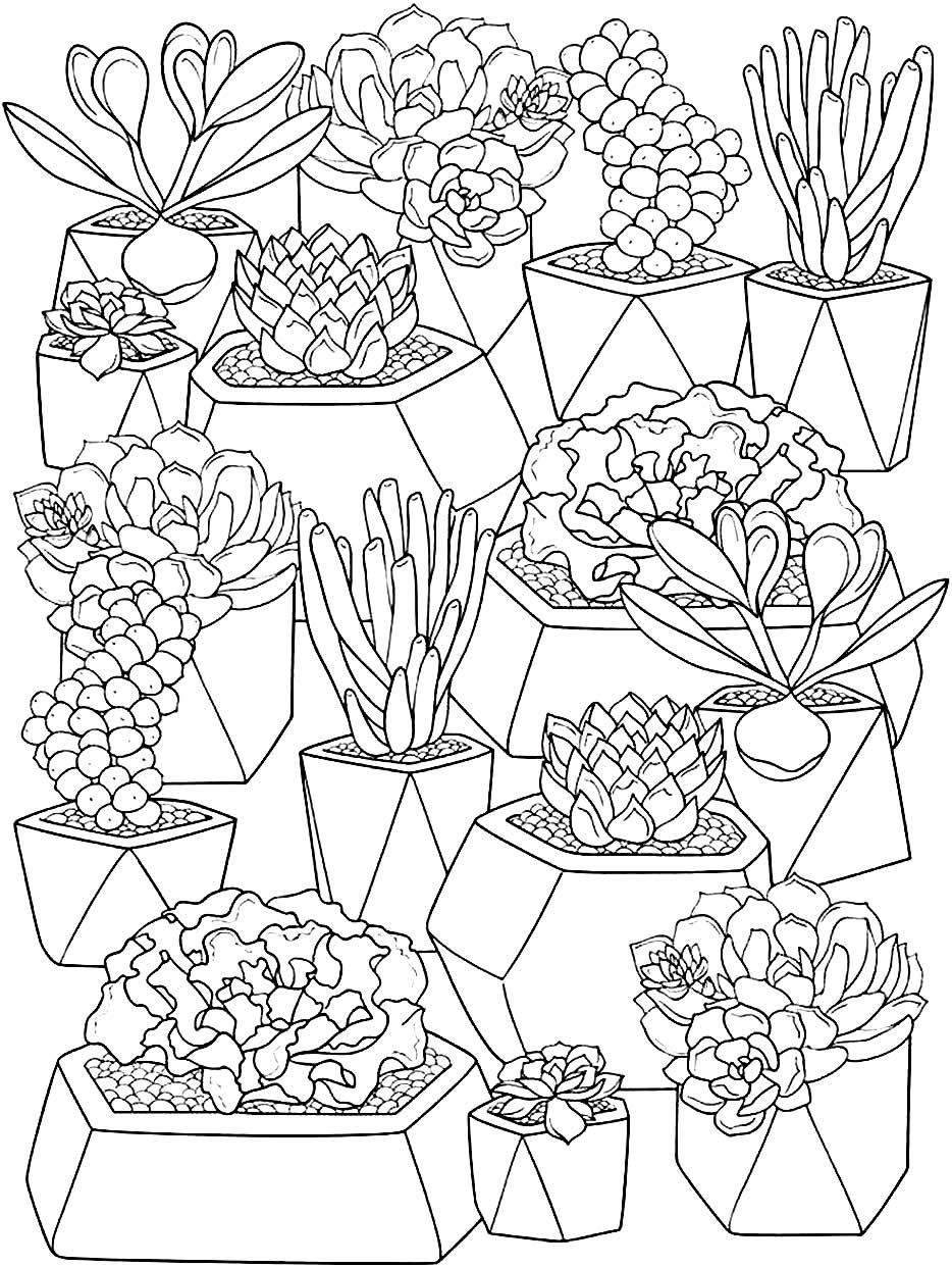 Desenhos de Cactos para colorir - Bora Colorir