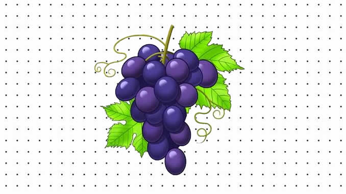 Desenhos de Uva para pintar