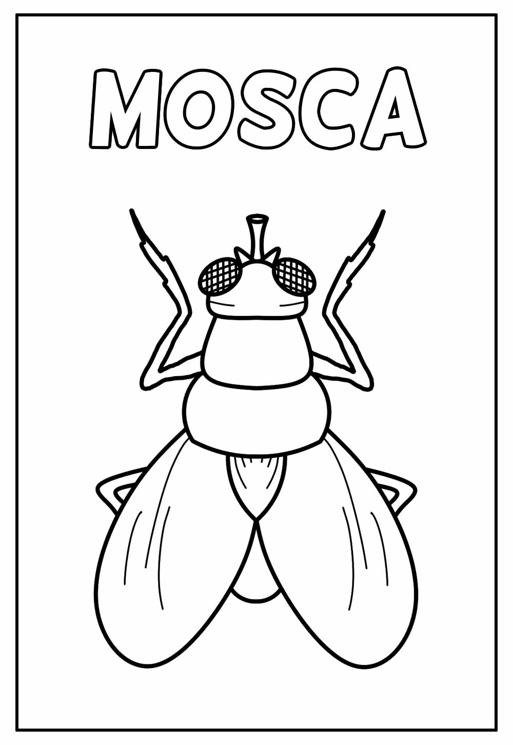 Desenho Educativo de Mosca para colorir