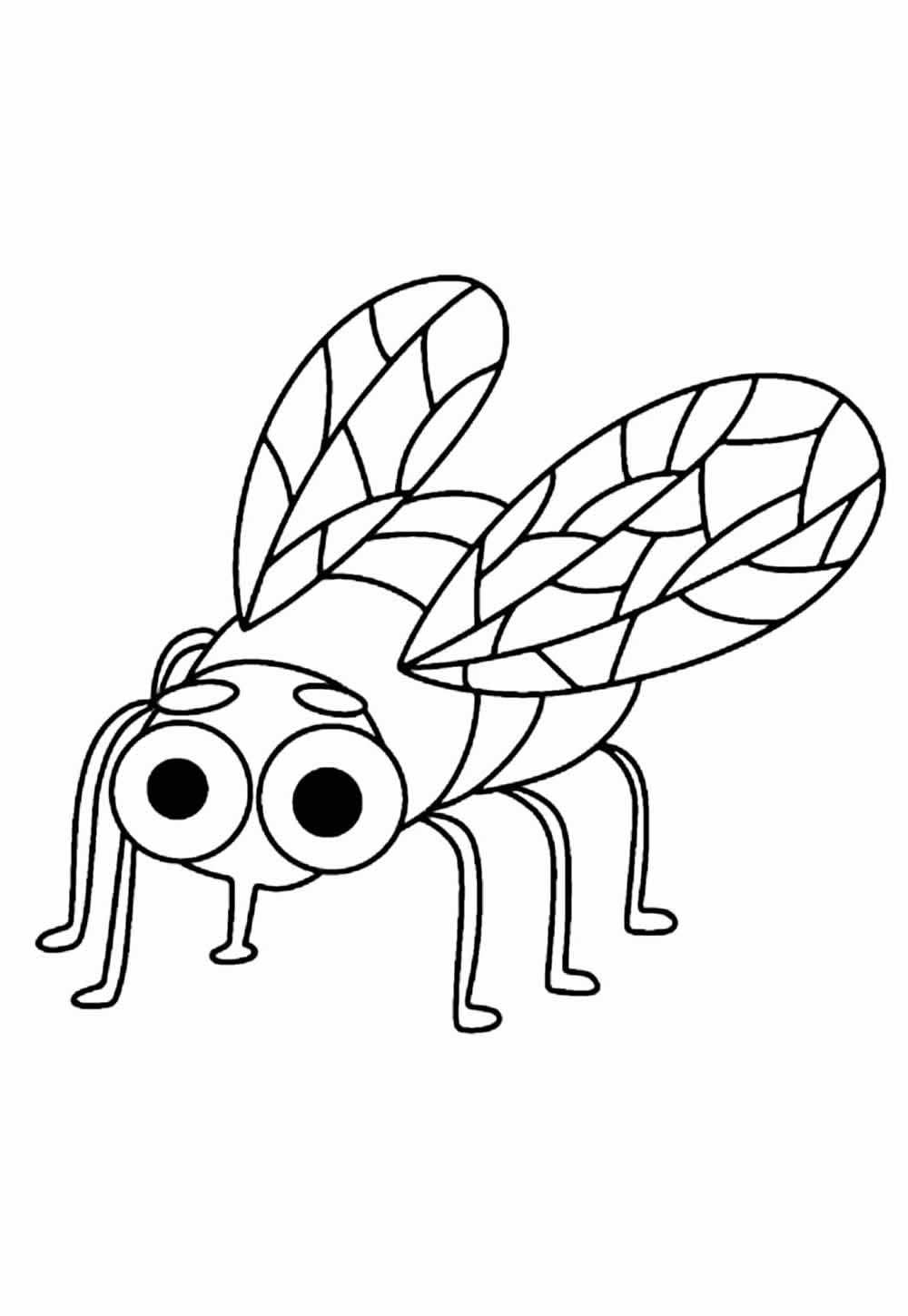 Desenho de Mosca para colorir