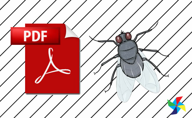 Desenhos de Mosca em PDF