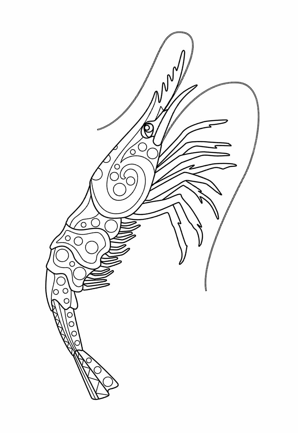 Desenho de Camarão para pintar
