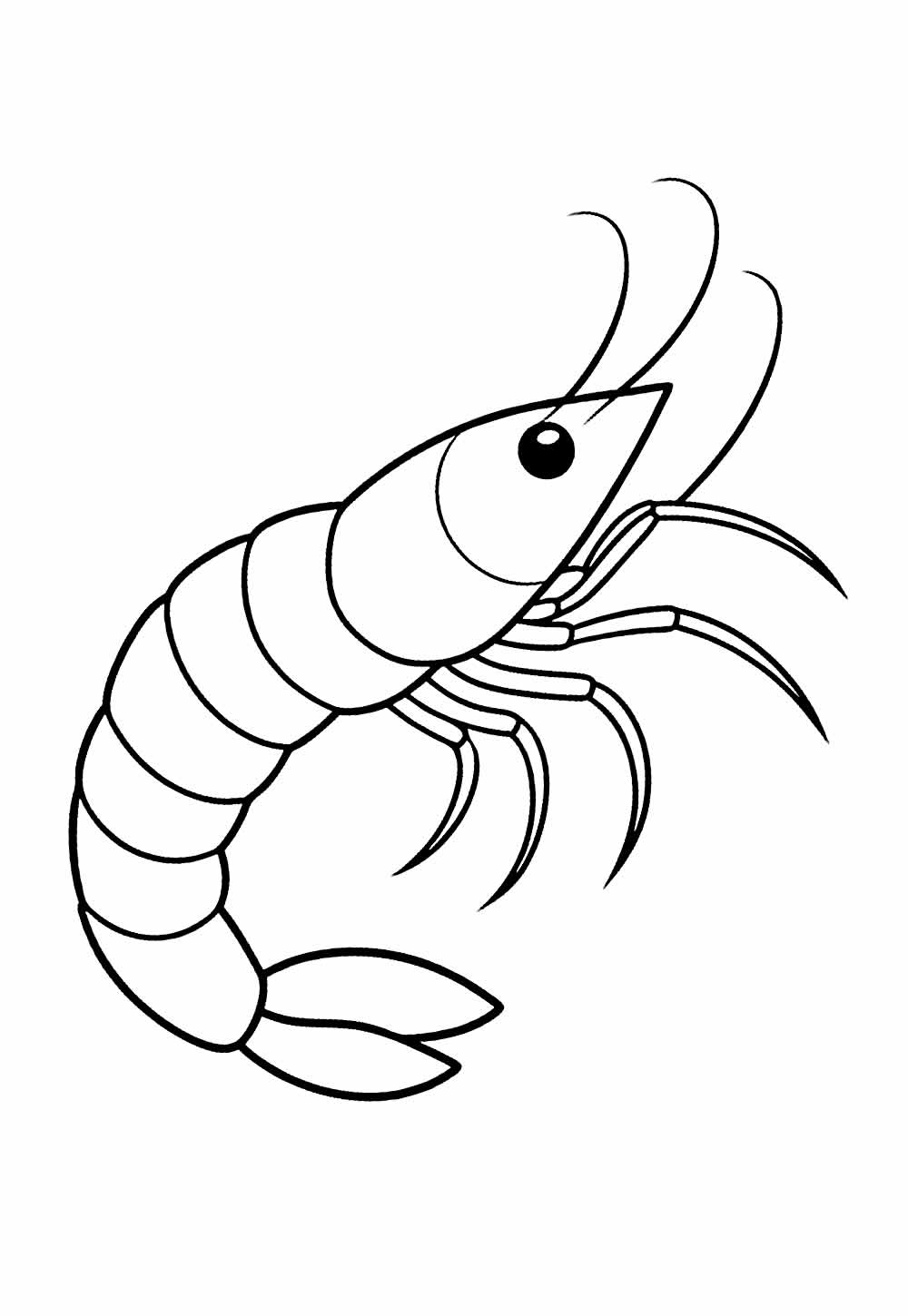 Desenho de Camarão