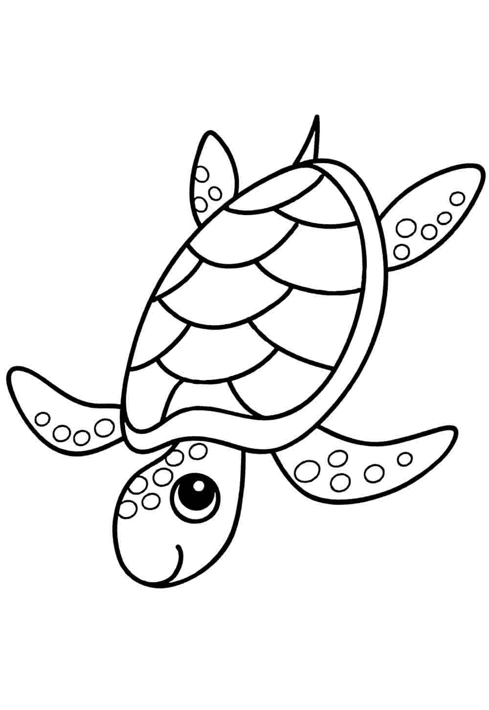 Desenhos de Tartaruga