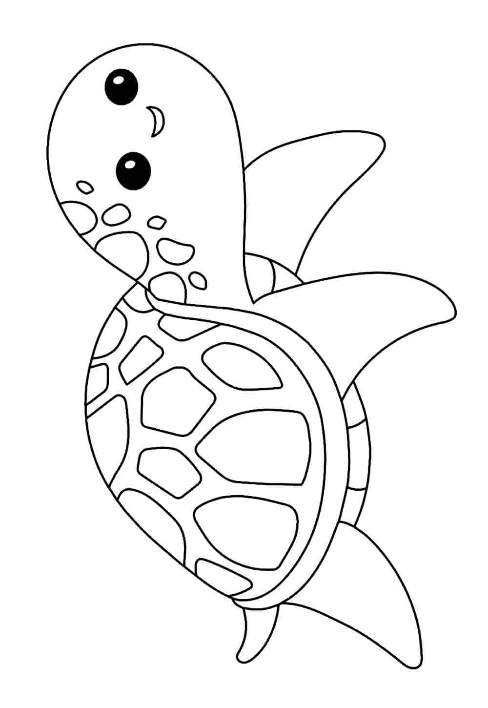 Desenho Tartaruga para pintar