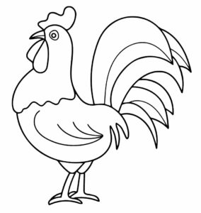 Desenhos de Galo para colorir - Bora Colorir