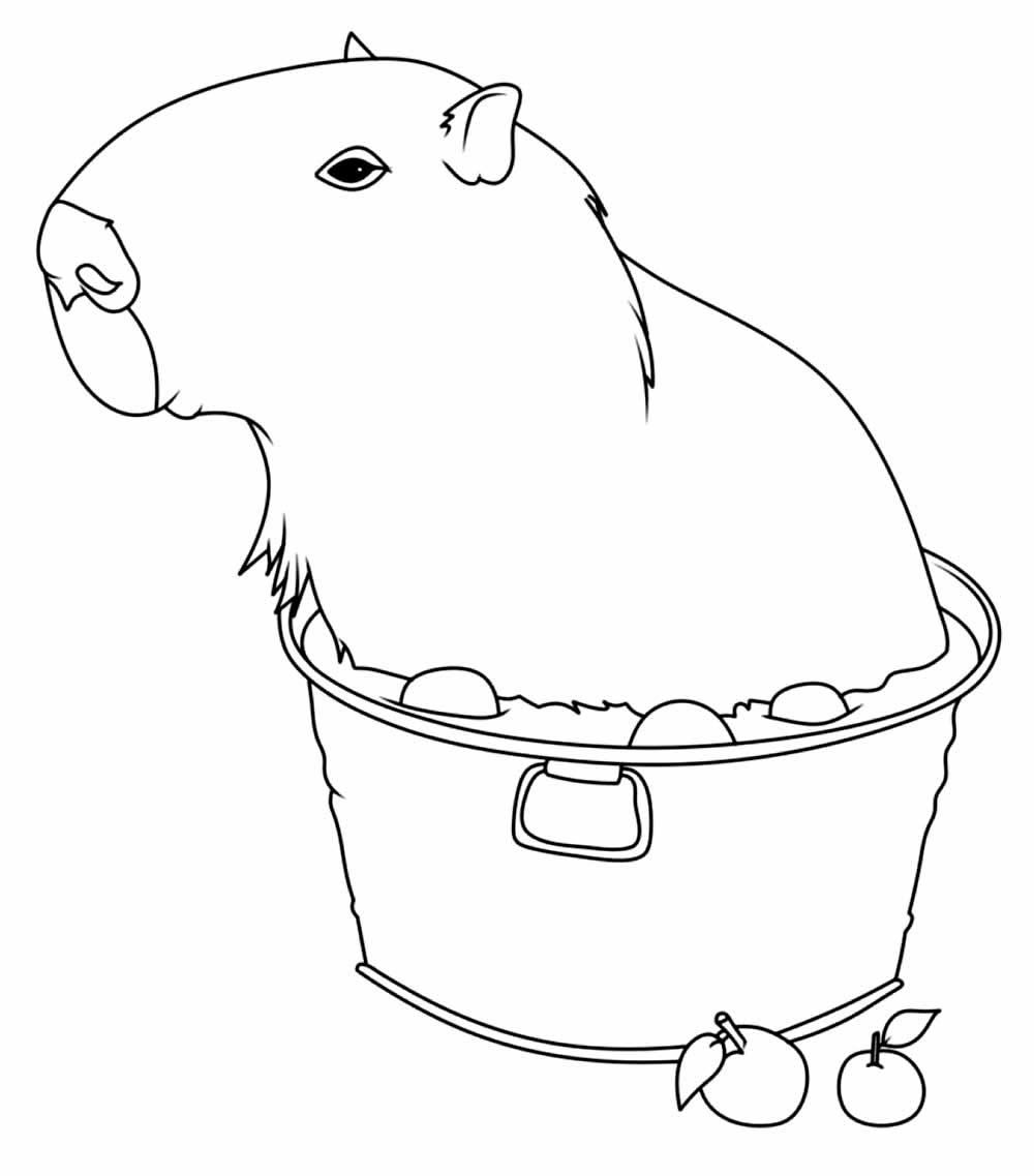 Colorir capivara